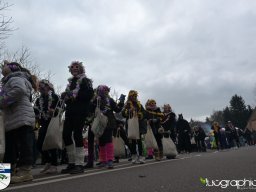 Umzug in Koenen 2025